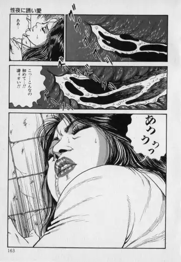 [Hachuu Rui] Innyuu Densetsu Fhentai - Page 165