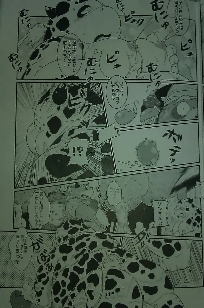 [Takotyu] Genkotsu Yama no Tanuki-San Fhentai - Page 10