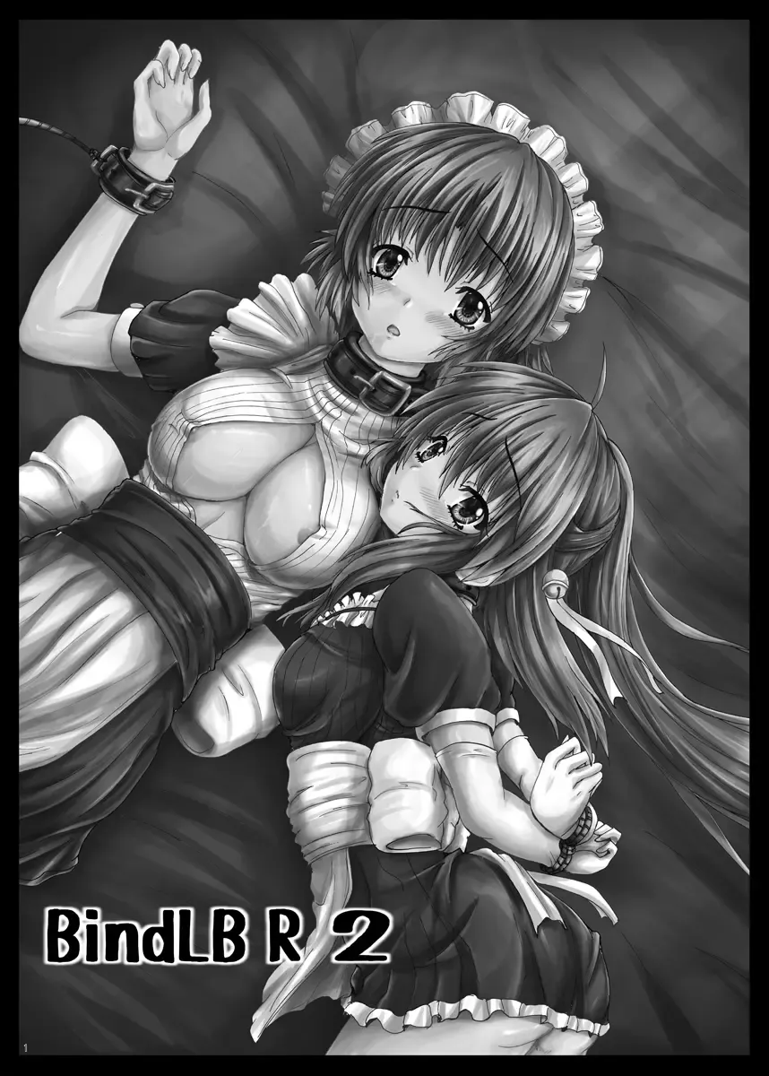 [Yo-jin] BindLB R2 Fhentai - Page 2