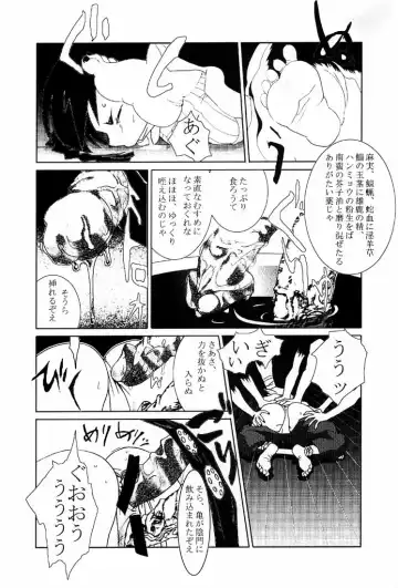 [Aka Marl - Hiroe Rei - Shoubuzawa Kaeru] KUNOICHI JAPAN Fhentai.net - Page 42