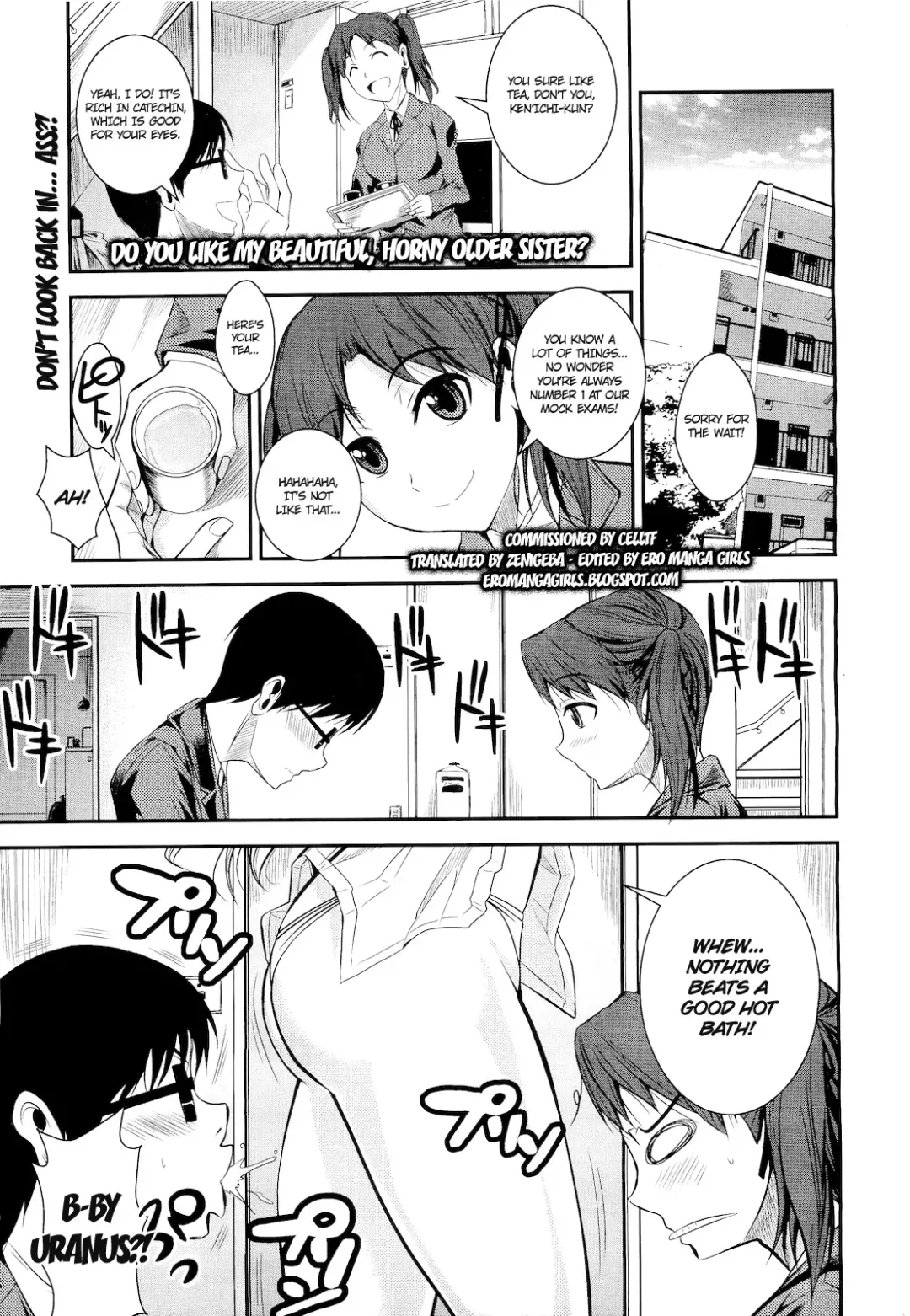 [Fuetakishi] Kirei de Yarashii Oneesan wa, Suki Desuka? | Do You Like My Beautiful, Horny Older Sister? Fhentai.net - Page 1