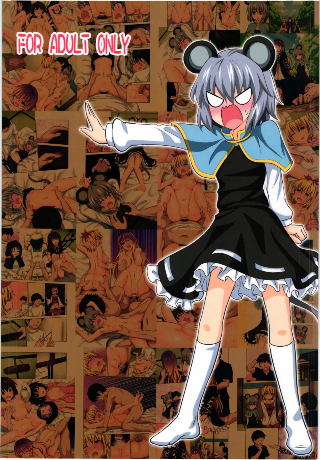 [Ginyou Haru] Gensoukyou Rakuenka Keikaku 13 | Gensoukyou Paradise Plan 13 Fhentai - Page 23