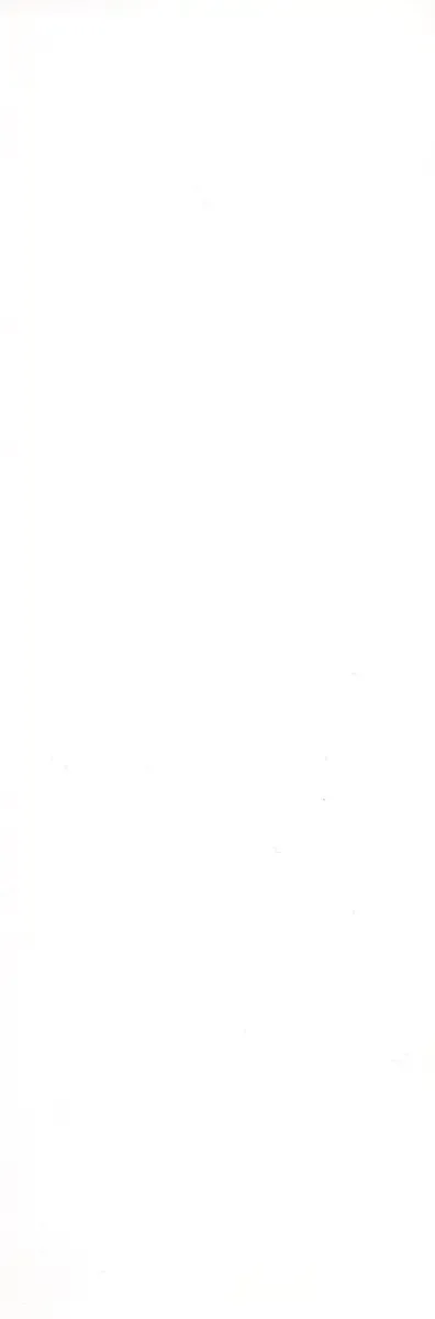 [Koino Jou] Shinobi Bebop Fhentai - Page 4