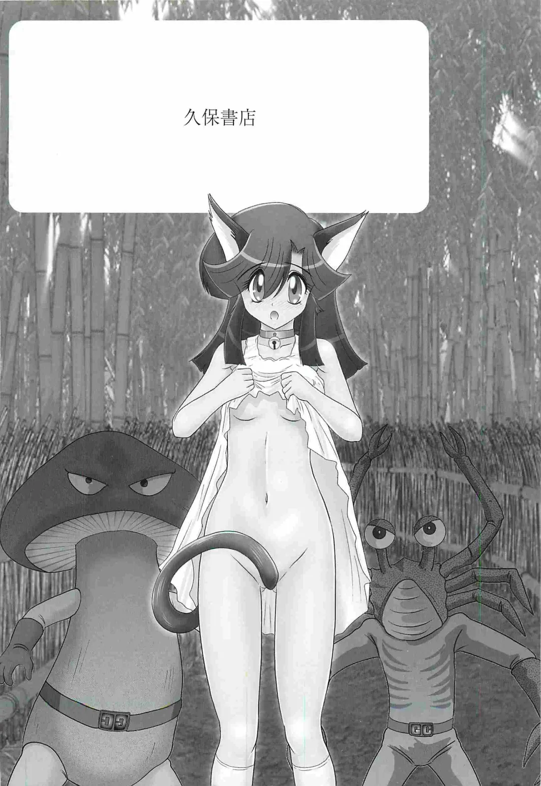 [Kamitou Masaki] Seirei Tokusou Fairy Saber W - Shojo Kari Fhentai - Page 4