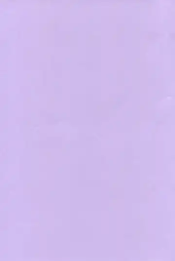 [Santa] Kaeri Michi Rhapsody Fhentai - Page 2