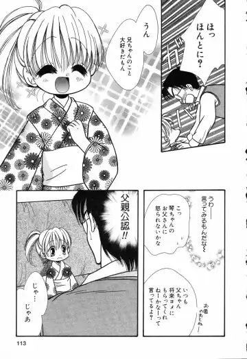 Pure Petit Vol. 14 Fhentai - Page 114