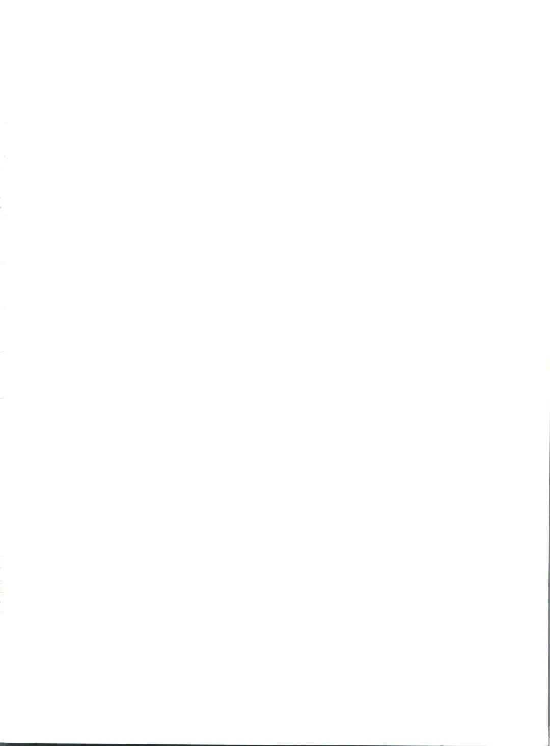 [Ryo] Chu! Fuyu Party Fhentai - Page 2