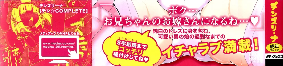 [Chinzurena] Chin☆COMPLETE Fhentai - Page 3