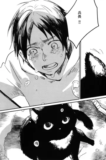 Ore, Neko Fhentai - Page 4