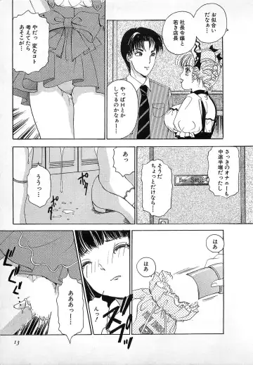 [The Amanoja9] Kisekae Mania Fhentai - Page 14