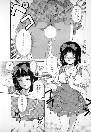 [The Amanoja9] Kisekae Mania Fhentai - Page 17