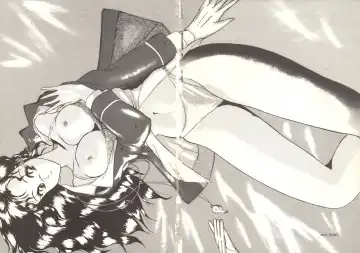 [Horikawa Gorou - Towai Raito] Fujin Keikan Menyou Hon - Han-Kan-Rin II Fhentai - Page 2