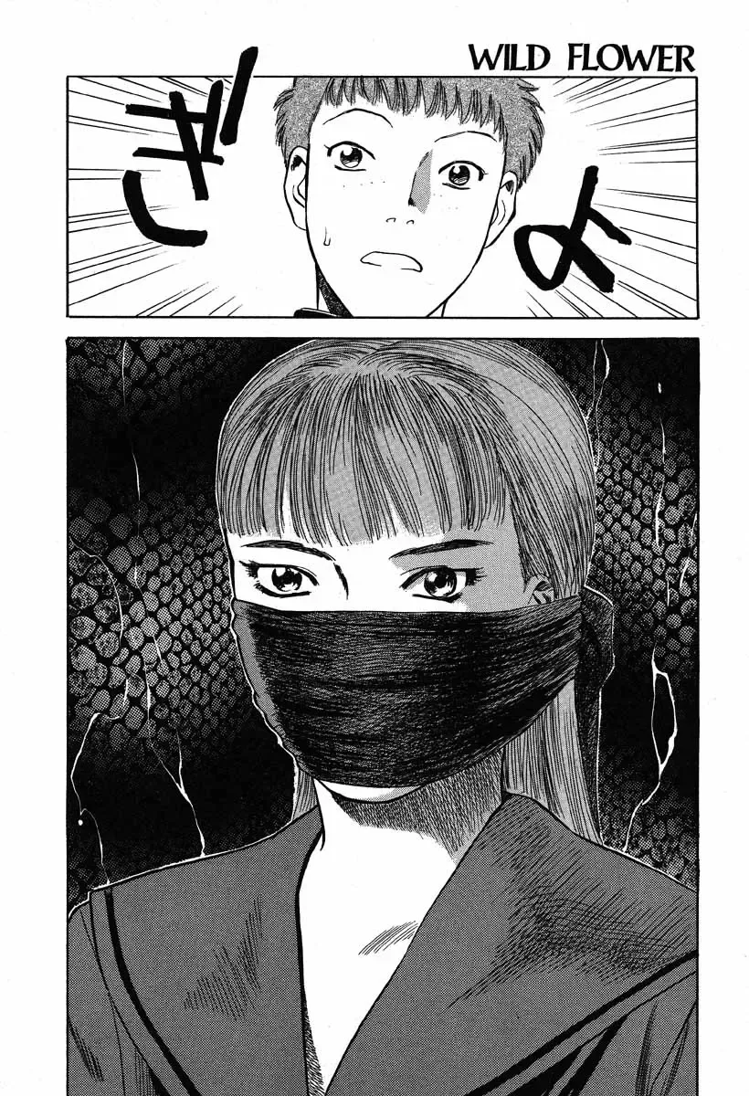[Tenjiku Rounin] WILD FLOWER Fhentai - Page 178