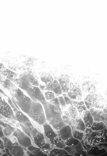 [Hachisu] 鮫～VIRGIN BITE Fhentai - Page 14