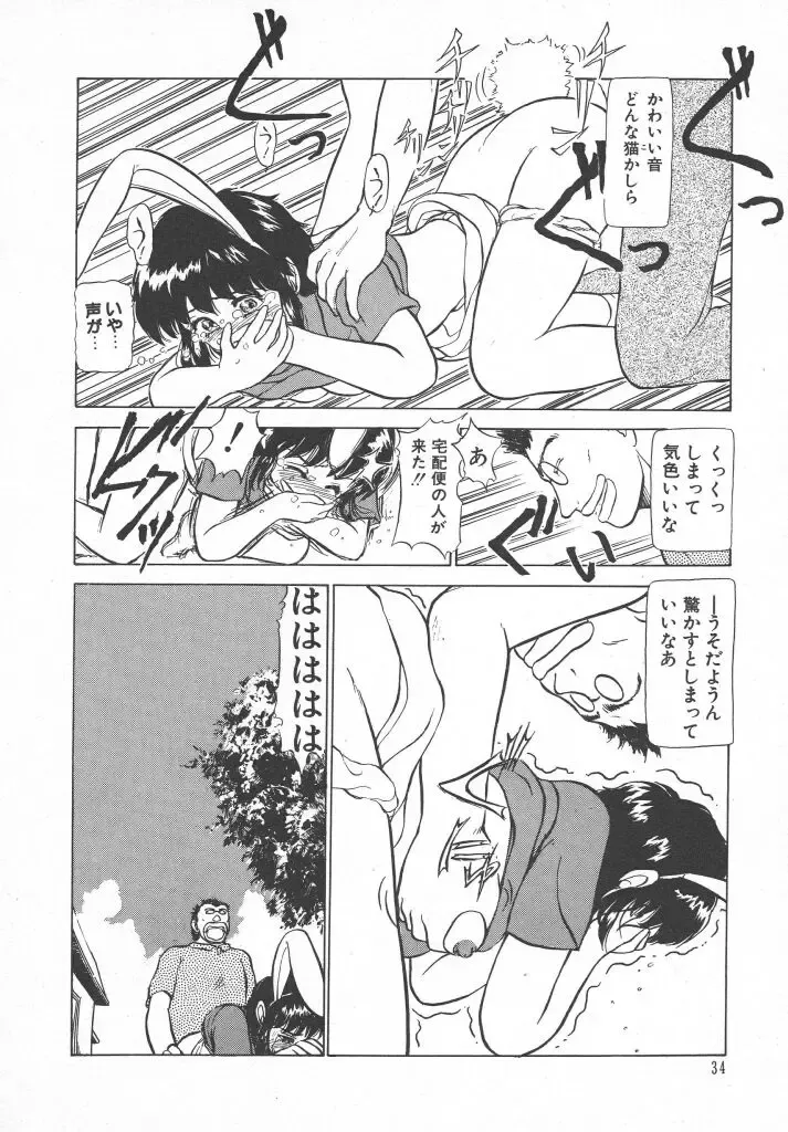 [Ayasaka Mitsune] Tottemo DANGER Bunny-chan!! SIDE-B Fhentai - Page 36