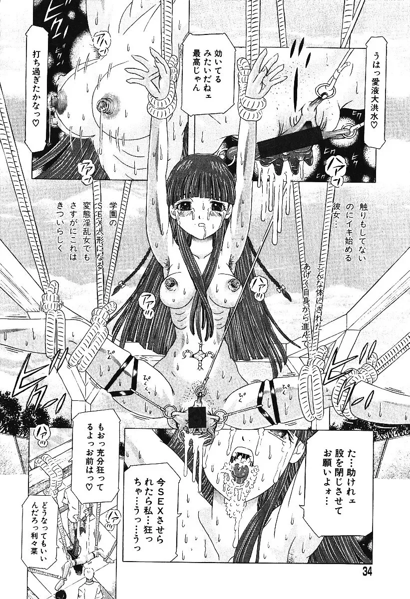 AYLA DELUXE Vol. 16 Fhentai - Page 31