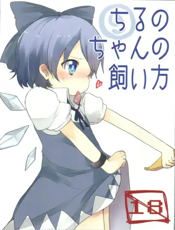 Read [Ayakase Chiyoko - Ayakase Riberi - Pun2] Cirno-chan no Kaikata - Fhentai.net