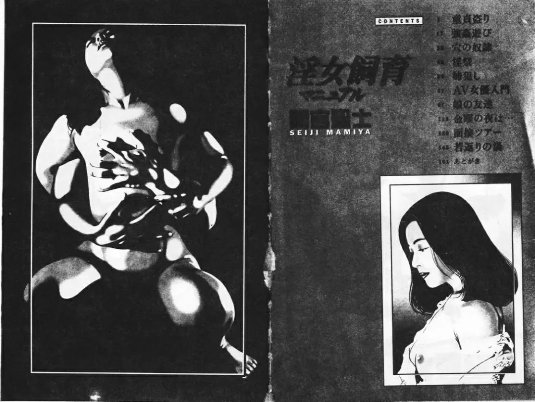 [Mamiya Seiji] Injo Shiiku Manual Fhentai - Page 4