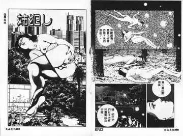 [Mamiya Seiji] Injo Shiiku Manual Fhentai - Page 37