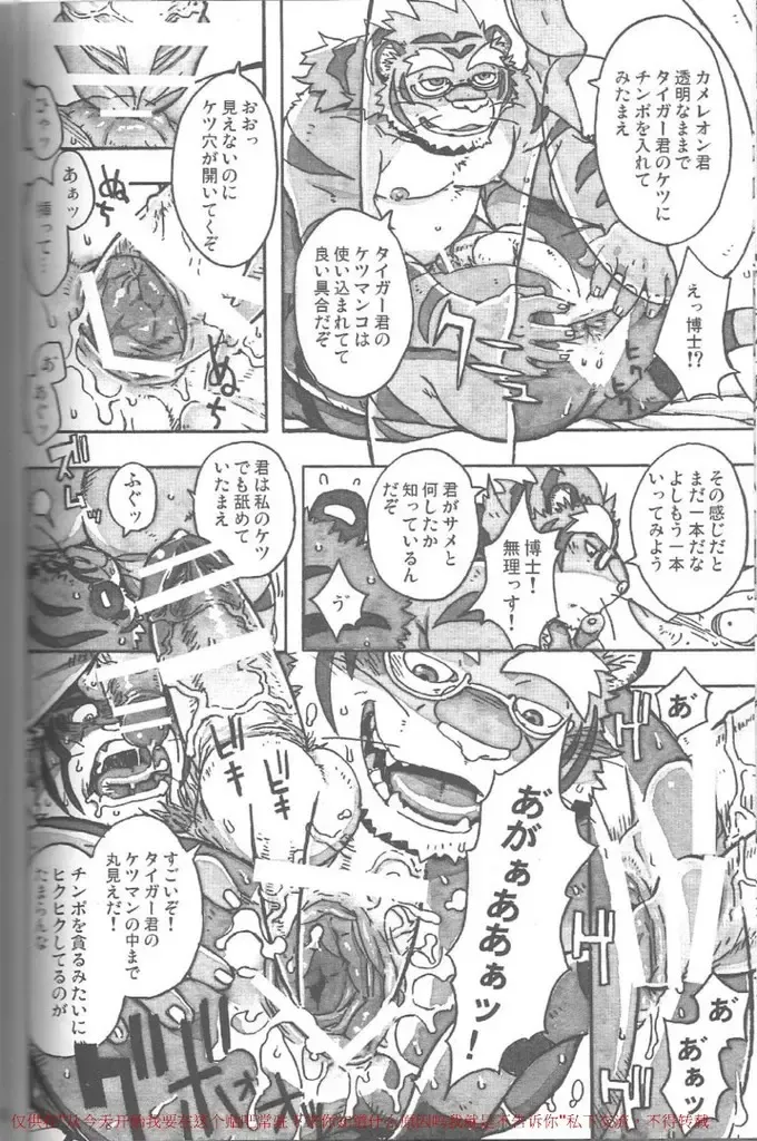 [Gamma] Choujuu Gasshin Build Tiger 11 Fhentai - Page 15