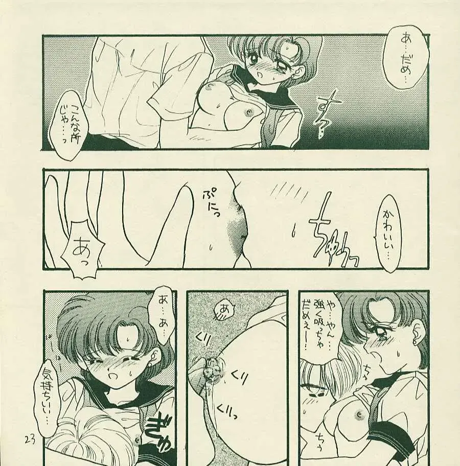 [Den - Ozaki Miray] Yougai Fhentai - Page 22