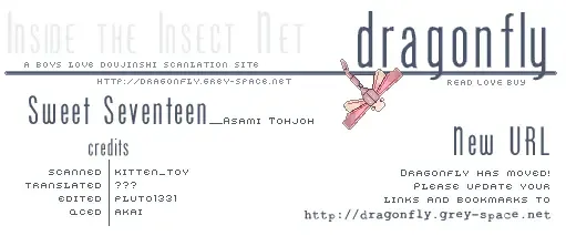 [Conami Shoko - Tojo Asami] Sweet Seventeen Fhentai - Page 34