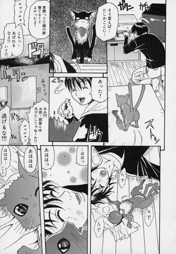 [Amatarou] Creer Desir Fhentai - Page 43