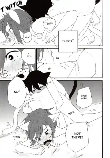 [Ayahara] Himitsu no Nyanko-chan | A Secret Between Kitties Fhentai.net - Page 9