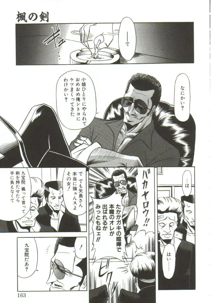 [Horikawa Gorou] Aigan Ryoujoku Sho Fhentai - Page 161