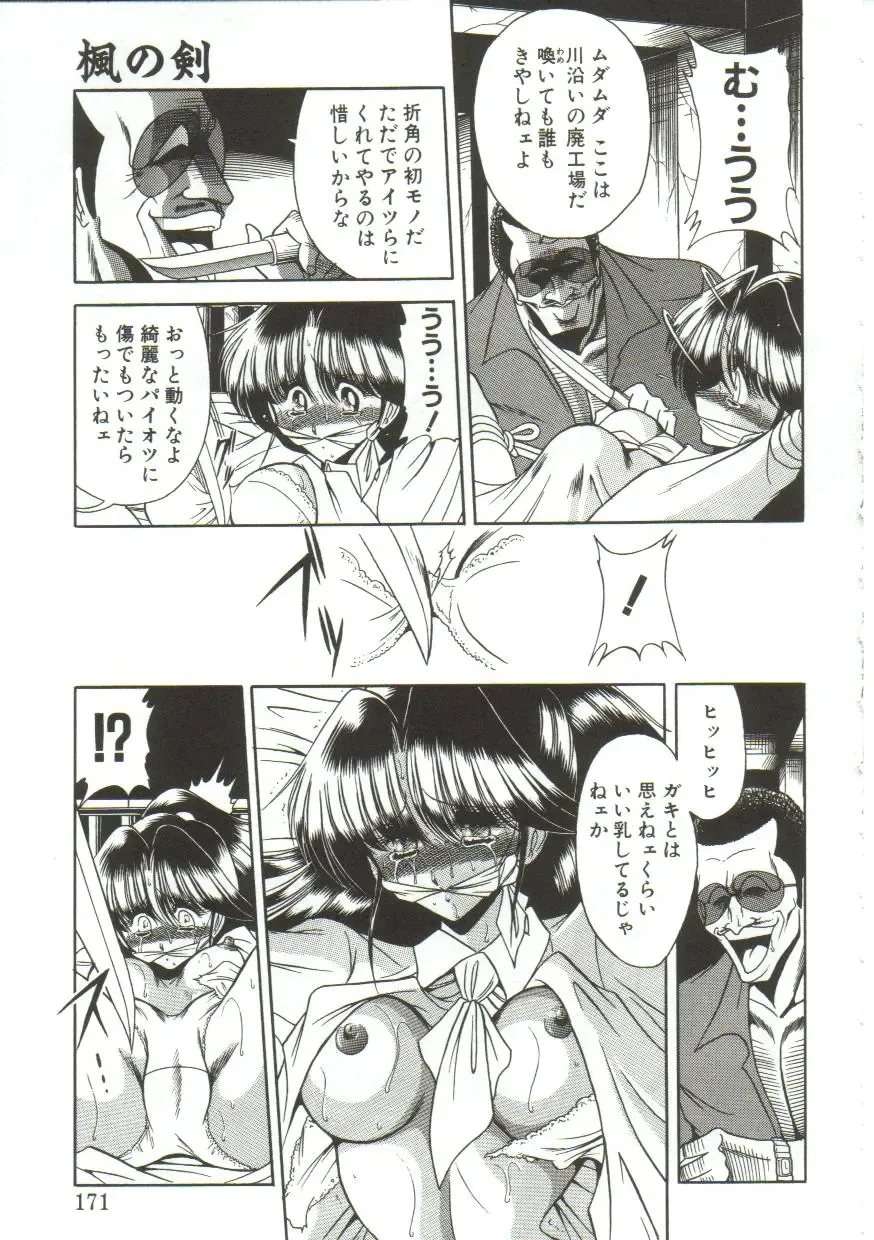 [Horikawa Gorou] Aigan Ryoujoku Sho Fhentai - Page 169