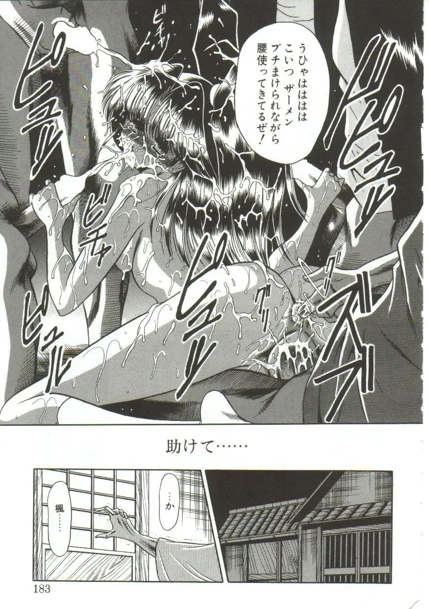[Horikawa Gorou] Aigan Ryoujoku Sho Fhentai - Page 181