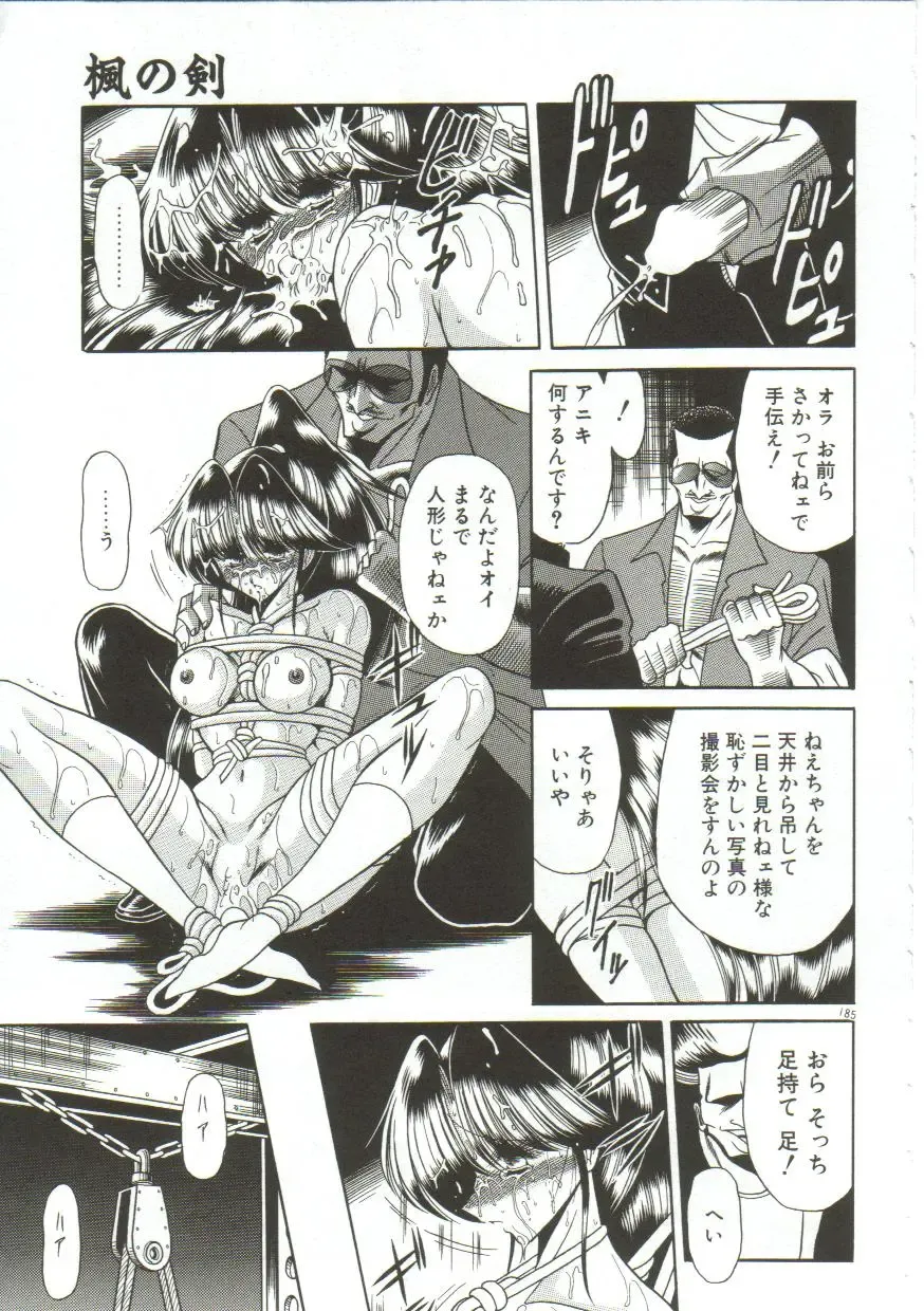 [Horikawa Gorou] Aigan Ryoujoku Sho Fhentai - Page 183