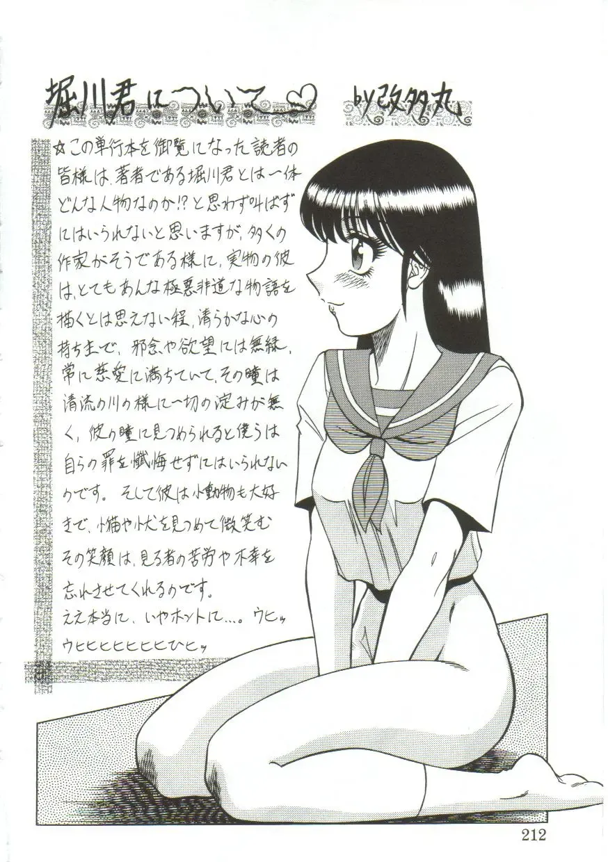 [Horikawa Gorou] Aigan Ryoujoku Sho Fhentai - Page 210