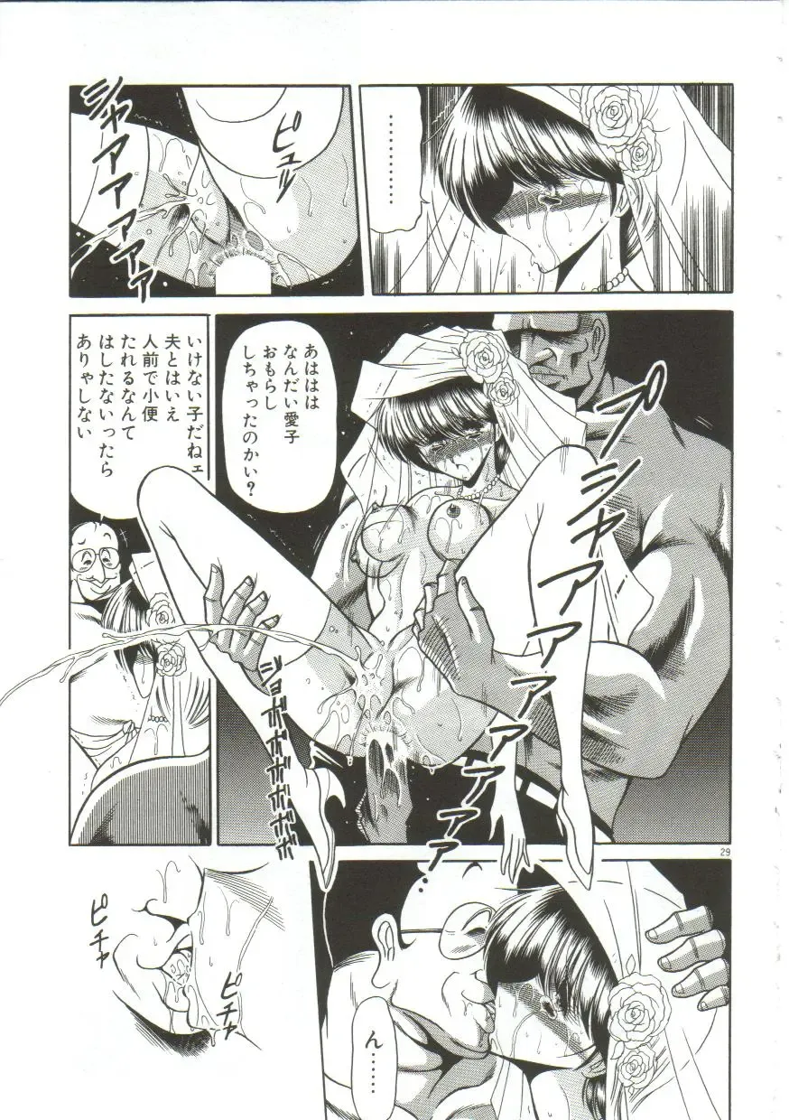 [Horikawa Gorou] Aigan Ryoujoku Sho Fhentai - Page 25