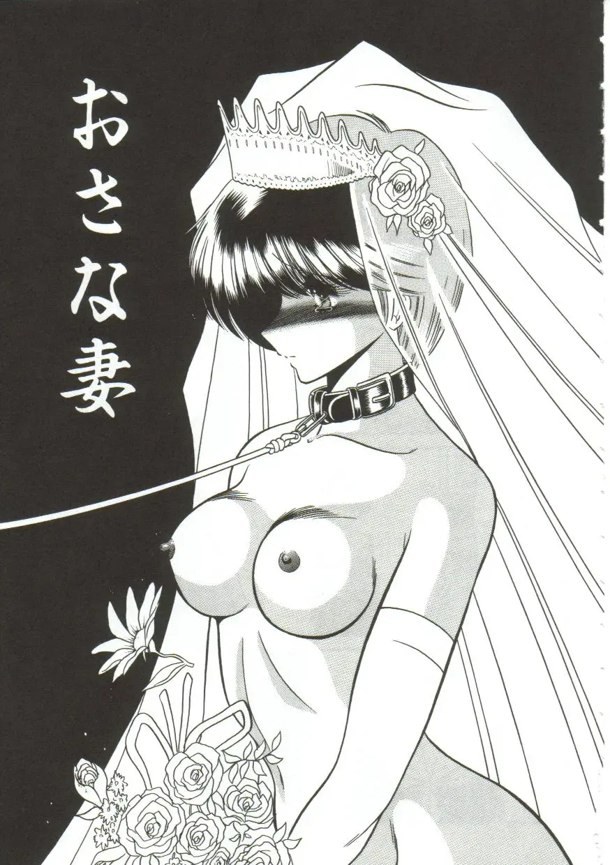 [Horikawa Gorou] Aigan Ryoujoku Sho Fhentai - Page 6