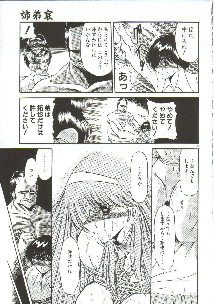 [Horikawa Gorou] Aigan Ryoujoku Sho Fhentai - Page 83