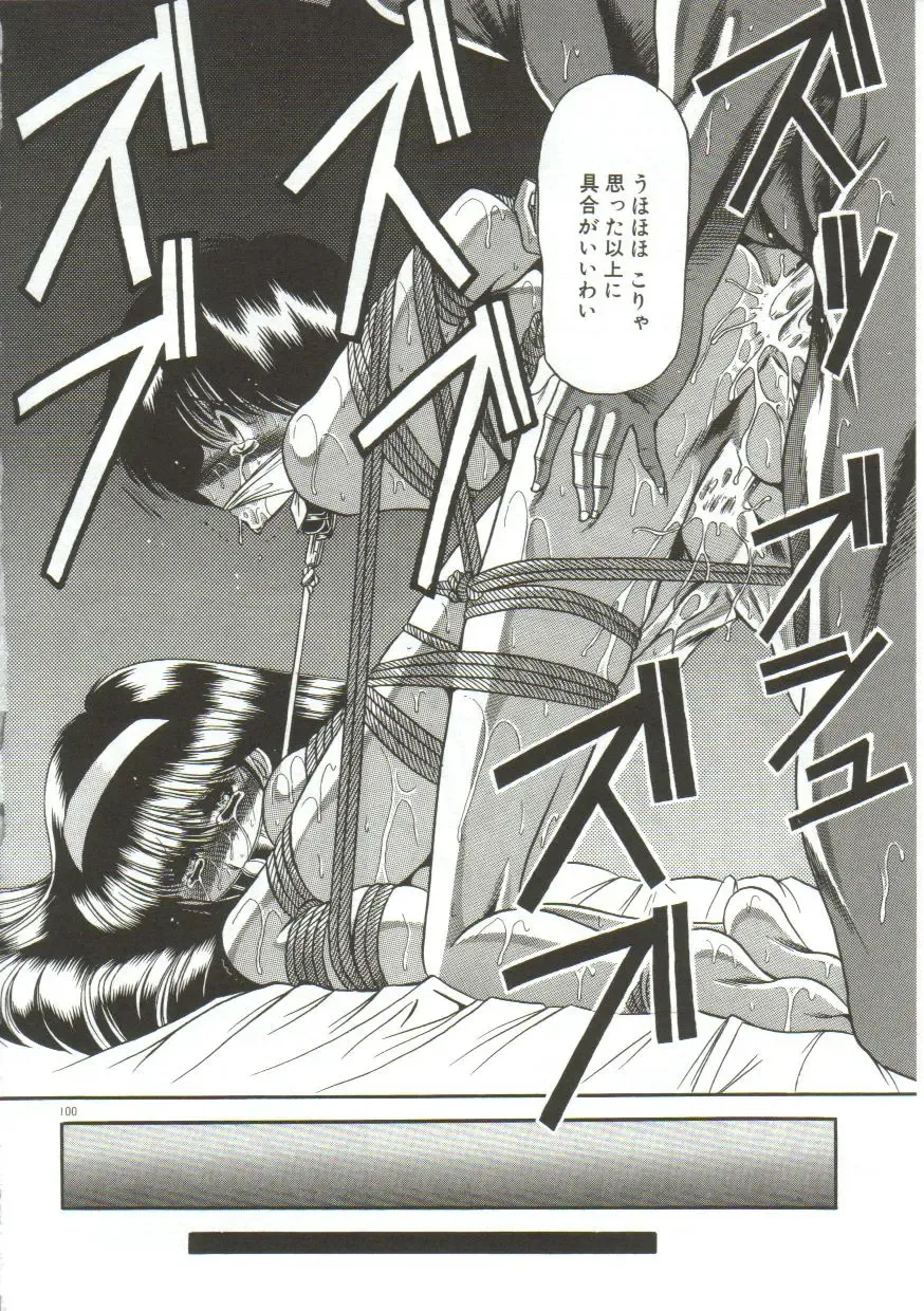 [Horikawa Gorou] Aigan Ryoujoku Sho Fhentai - Page 98