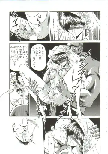 [Horikawa Gorou] Aigan Ryoujoku Sho Fhentai - Page 25