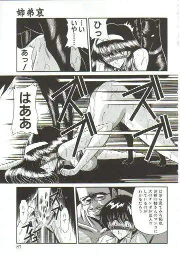 [Horikawa Gorou] Aigan Ryoujoku Sho Fhentai - Page 85