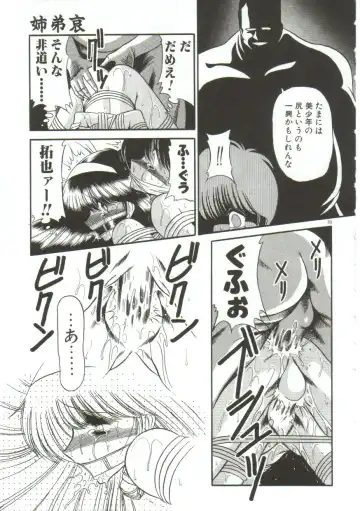 [Horikawa Gorou] Aigan Ryoujoku Sho Fhentai - Page 97