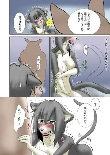 [Nosada] Neko Ijiri Fhentai - Page 13