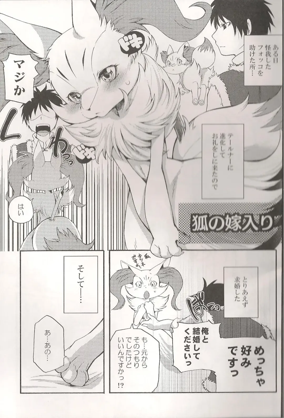 [Inumimi Moeta] Roman de Renart 2 Fhentai - Page 14