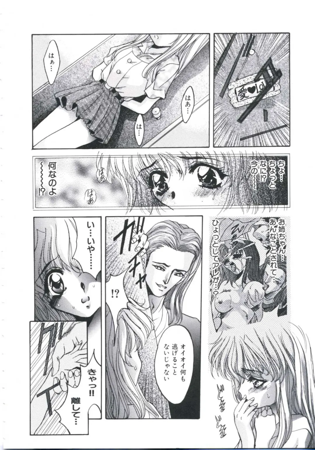 [Arino Hiroshi] Chijoku Reijou Fhentai - Page 16