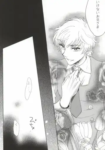 [Ayumi] Suzaku-kun to Lelouch-kun ga Nunnally Play no Hon Fhentai - Page 12