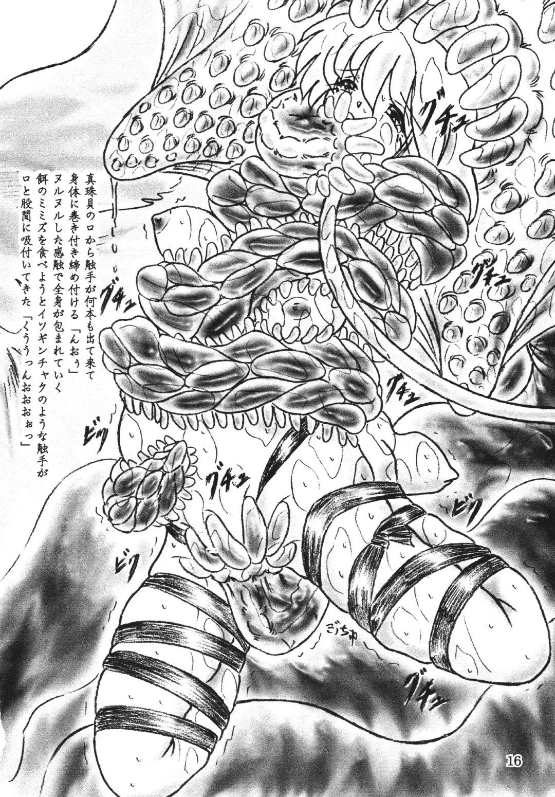 [Sumomo Ex] Shinju Shimai Fhentai - Page 15