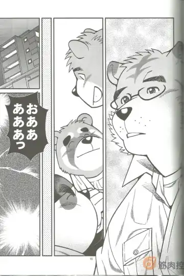 [Ichikawa Kazuhide] Animal Synchronicity 3 Fhentai - Page 17