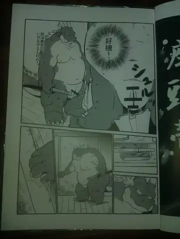 [Mega] 行雲流水 Fhentai - Page 10