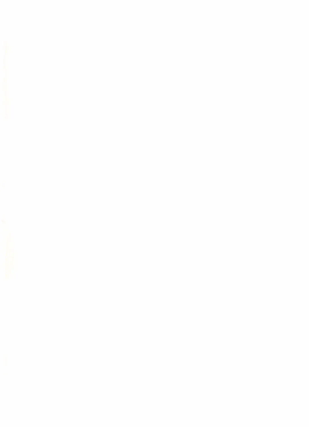 [Zun] F2 Fhentai - Page 3