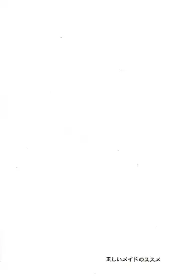 [Izumi Bouko] Tadashii Maid no Susume Fhentai - Page 29