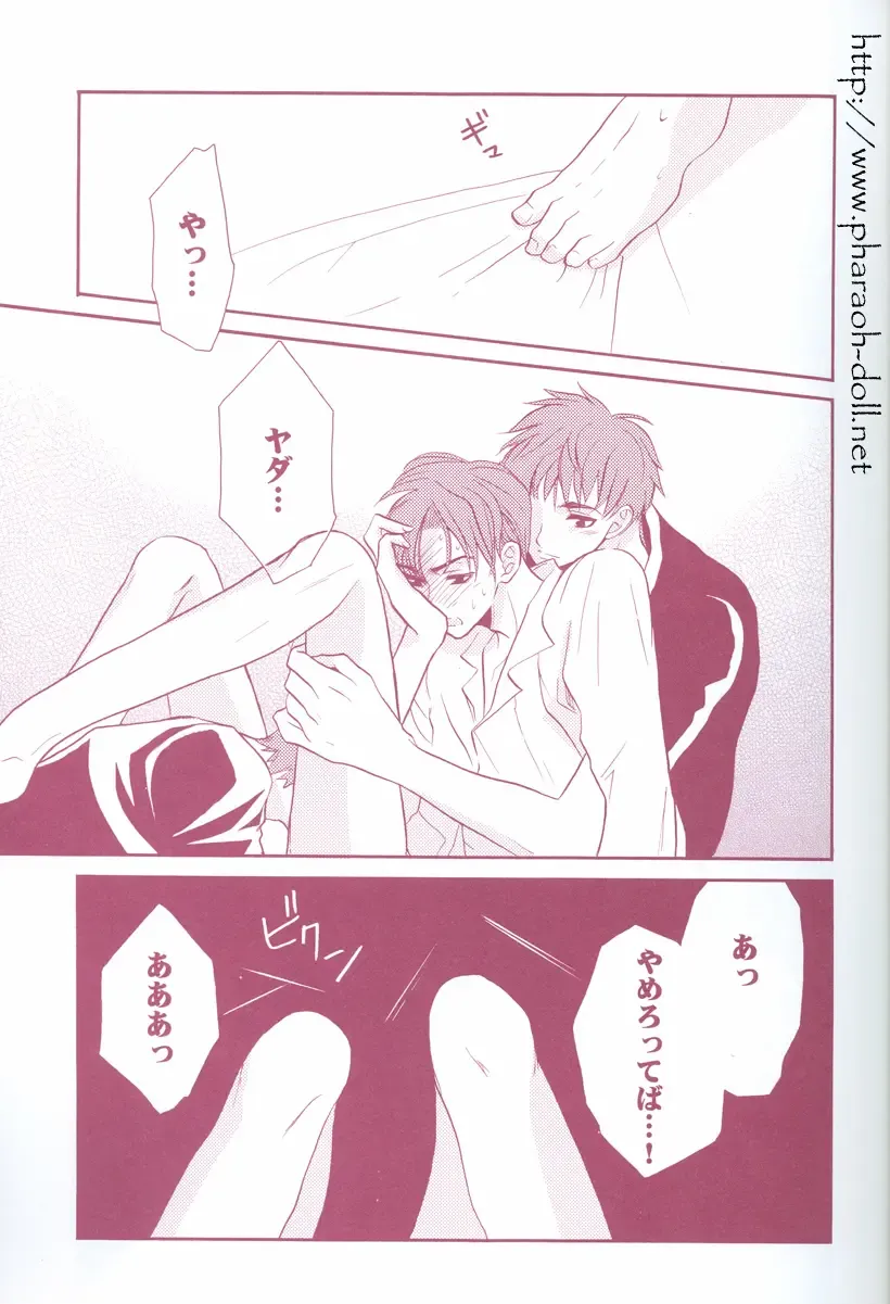 [Goribote] Futago to Onii-san Fhentai - Page 19